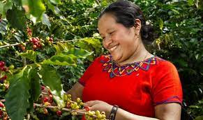 Guatemala Huehuetenango Waykan