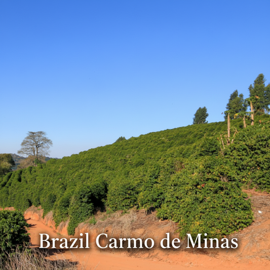 coffee plantation