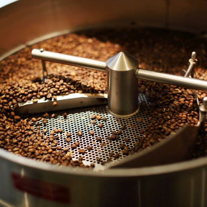 Roasted beans cooling down