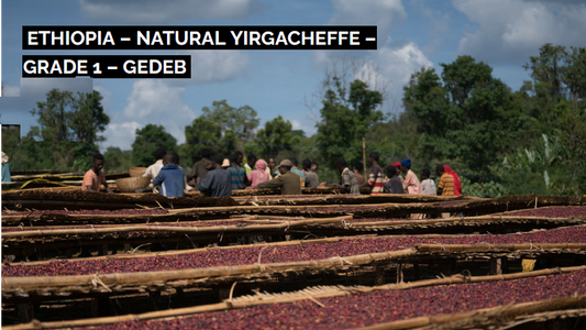 Ethiopia Natural Yirgacheffe - Gedeb