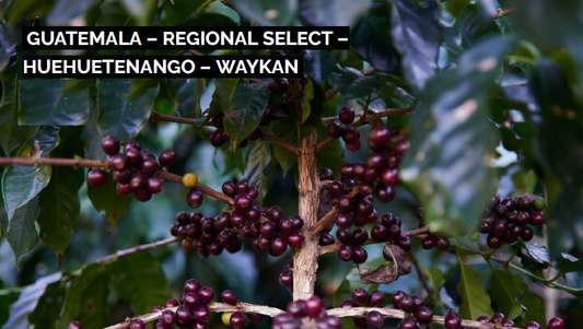 Guatemala Huehuetenango Waykan